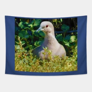 Mourning dove Tapestry