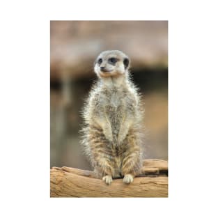 Fluffy Meerkat T-Shirt