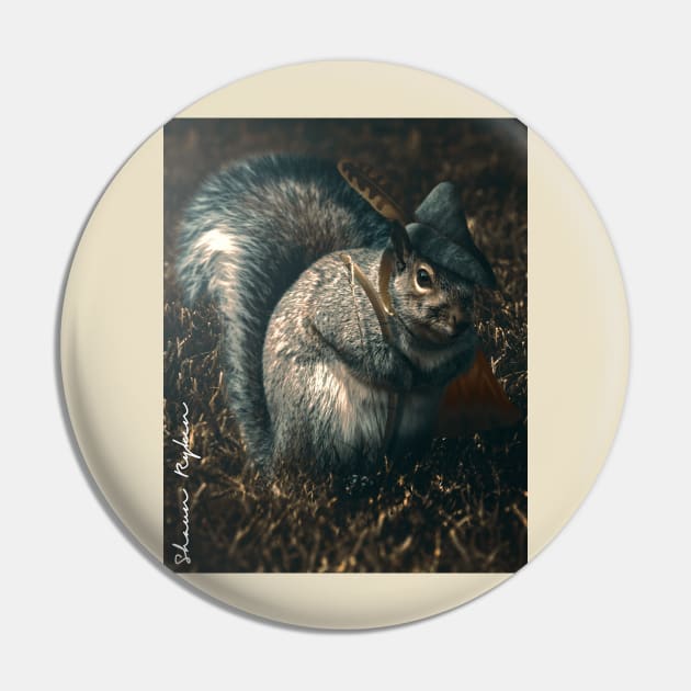 Robin Squirrel Pin by ShaunRyken