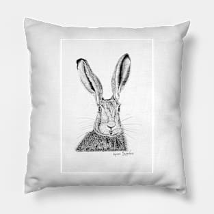 Field Hare Drawing Pillow