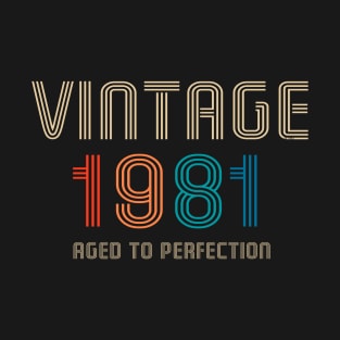 Vintage 1981 Aged to Perfection 40th birthday gift T-Shirt