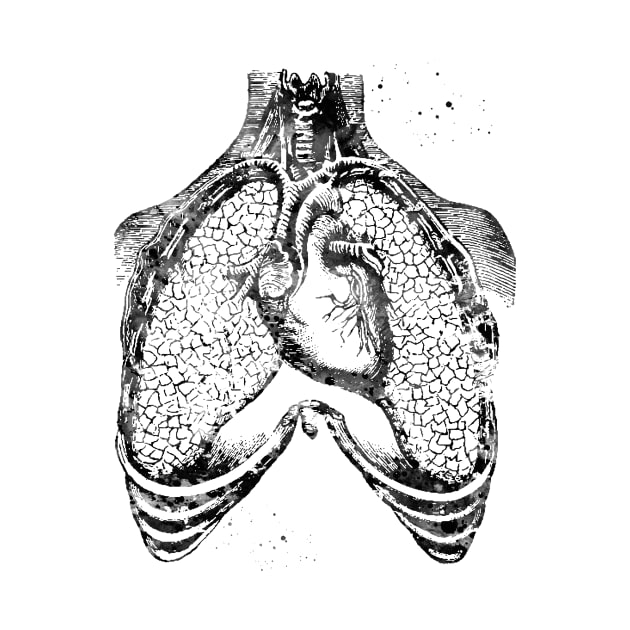 Human heart and lungs by erzebeth