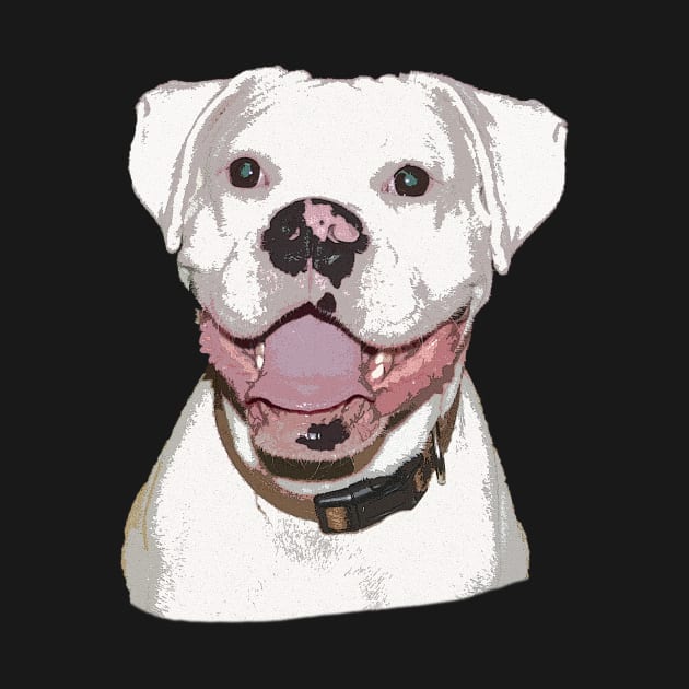 White Boxer Dog by 3QuartersToday