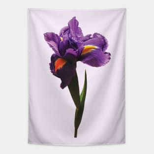 Irises - One Purple Iris Tapestry