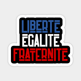 Liberté égalité fraternité Magnet