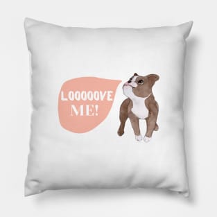 Baby and dog Pillow