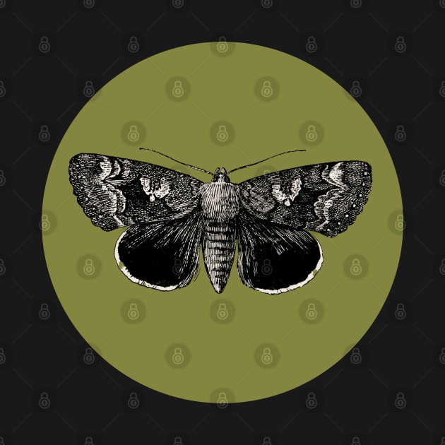 Halloween Moth, Omens, Portents, Signs, and Fortunes - Moss Green and Black Variation by SwagOMart