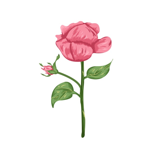 Pink Rose Plant  Botanical by Salfiart