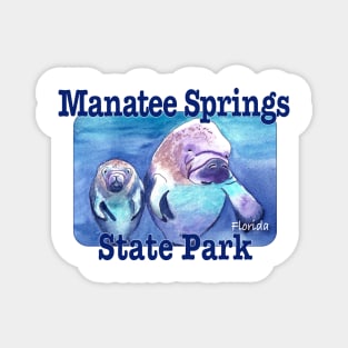 Manatee Springs State Park, Florida Magnet