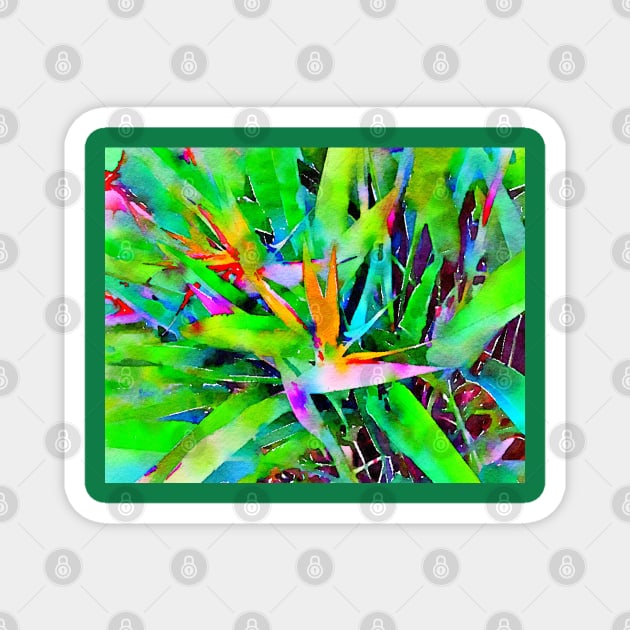 Bird of Paradise Magnet by JillyBeanDesign