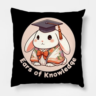 Graduation rabbit Pillow