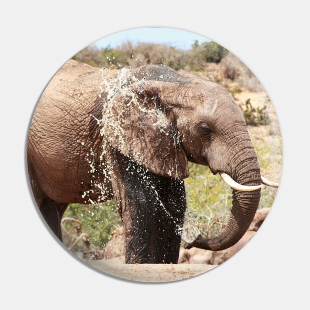 African Wildlife Photography Elephant Splashing Pin by PathblazerStudios