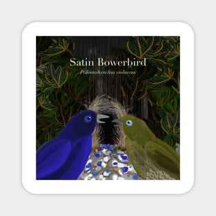 Satin Bowerbirds (text) Magnet