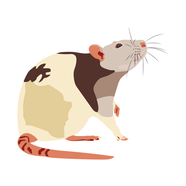 Fancy Rat by DKrumpp