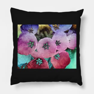 Helleborus not Pillow