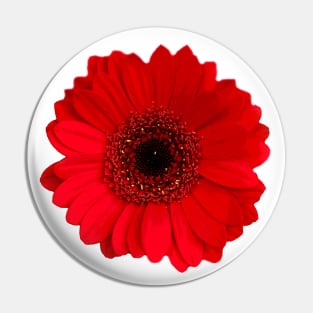 Red Gerbera daisy Flower Pin