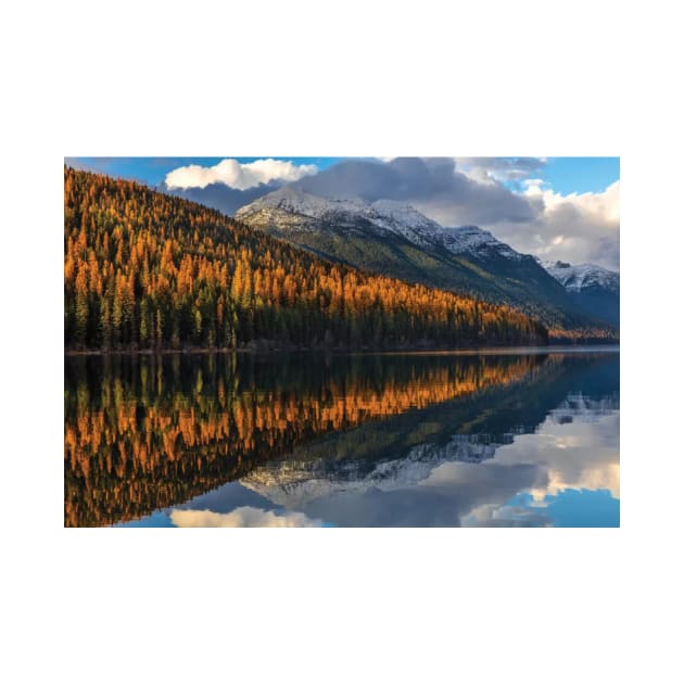 Mountain Peaks Reflect Into Bowman Lake In Autumn Glacier National Park by HammiltenJohn