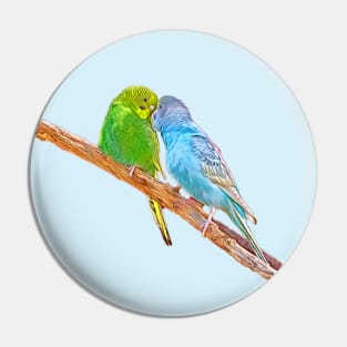 Cute budgies beaking Pin