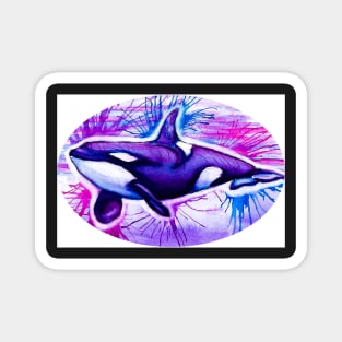Color Splash Orca Magnet