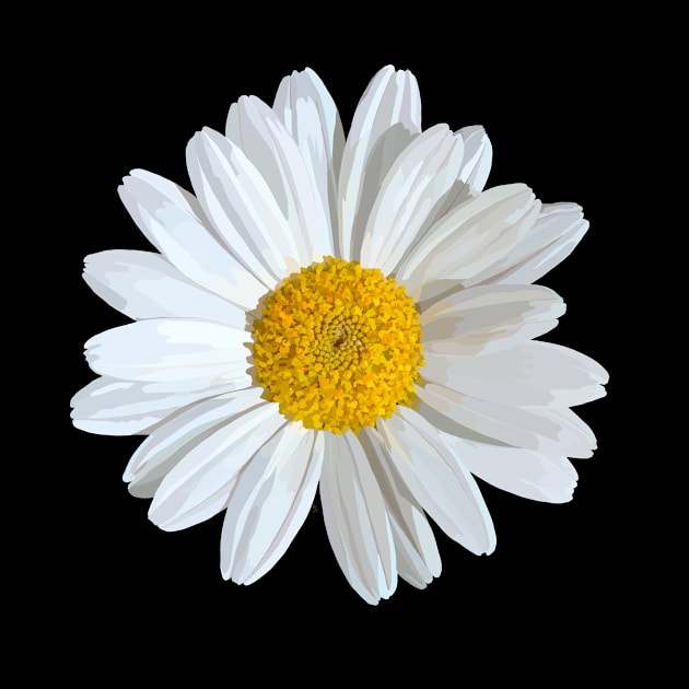 Marguerite on black by A_using_colors