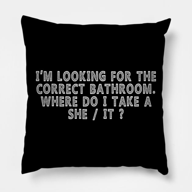 I’m Looking For The Correct Bathroom Where Do I Take A she it Pillow by Wintrly