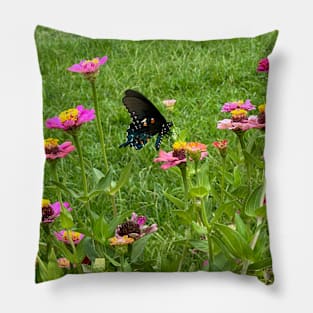 Butterfly on zinnia flower Pillow