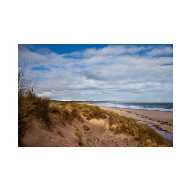 Springtime at Druridge Bay by Violaman