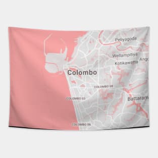 Colombo pink map Tapestry