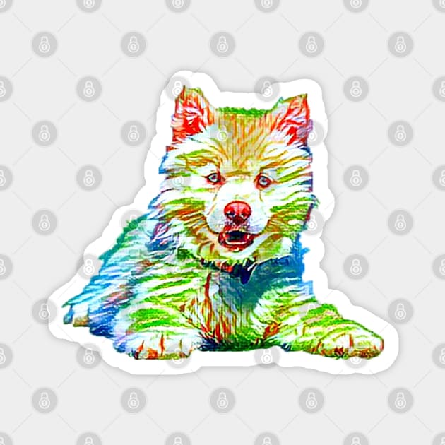 Colorful Artistic Dog Magnet by Sanzida Design