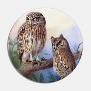 Little Owl & Scops Owl Pin