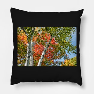 New Engalnd autumn colors Pillow