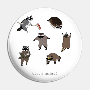 Trash animal Pin