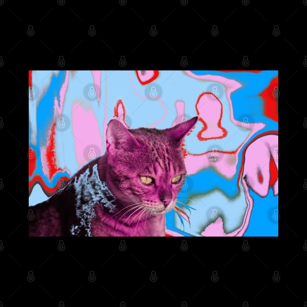 Cat LSD by Wolf Art / Swiss Artwork Photography