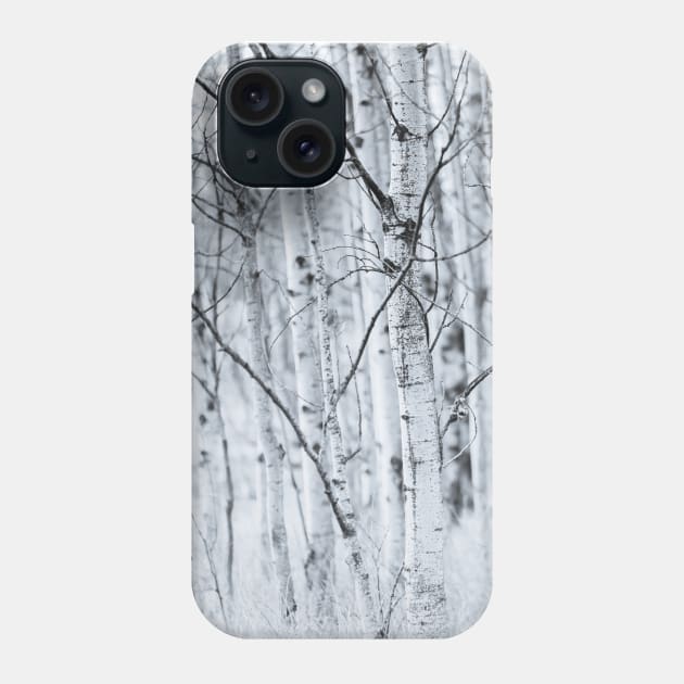 Black and White Aspen Forest Abstract Phone Case by Amy-K-Mitchell