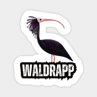 Waldrapp, northern bald ibis, hermit ibis Magnet