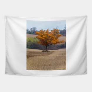 Fall Tree In Field 1 Tapestry