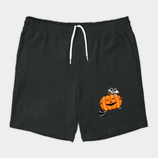 JACK-O-LANTERN RACCOON Shorts