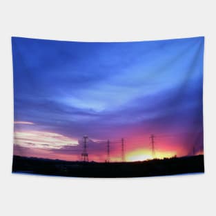 Color splash Tapestry