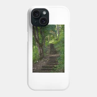 Old stairs in the forest Phone Case