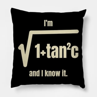 I’m 1 + Tan 2 C And I Know It Shirt Pillow