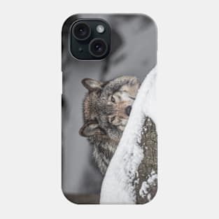 Eastern Gray Wolf Phone Case