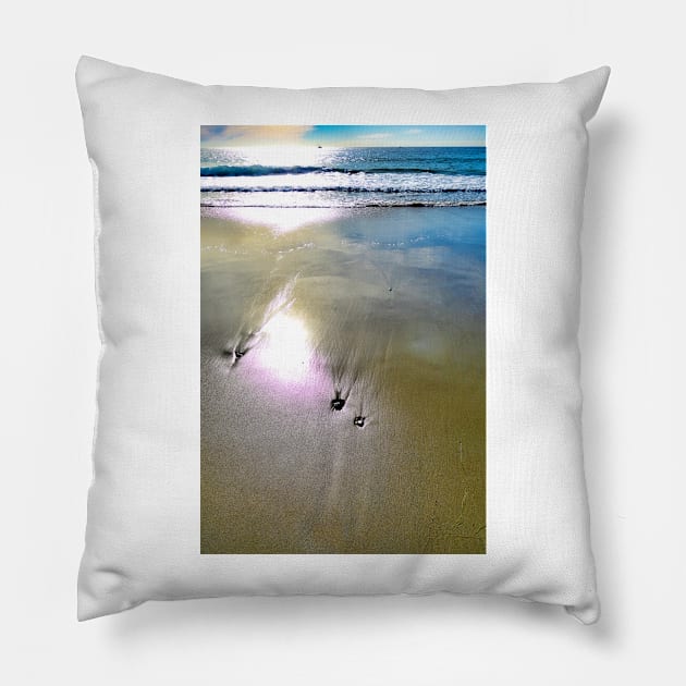 Dana Point Winter Study 2 Pillow by bobmeyers