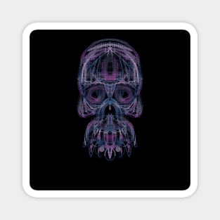 Electroluminated Skull - Highlights Magnet