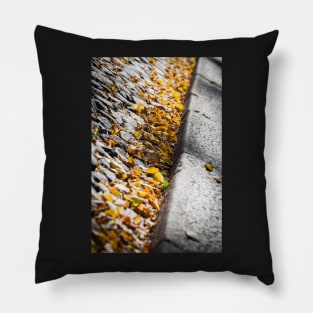 Fallen Leaves Pillow