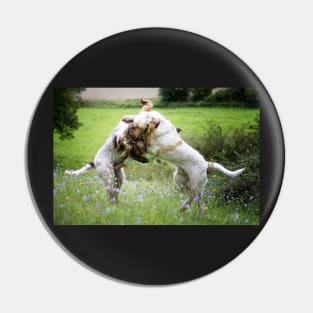 Wildflower play fight Spinoni Pin