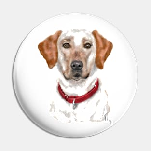 Pooch With a Red Collar Pin