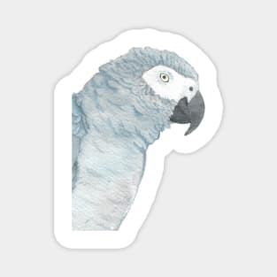 african grey watercolor parrot portrait Magnet