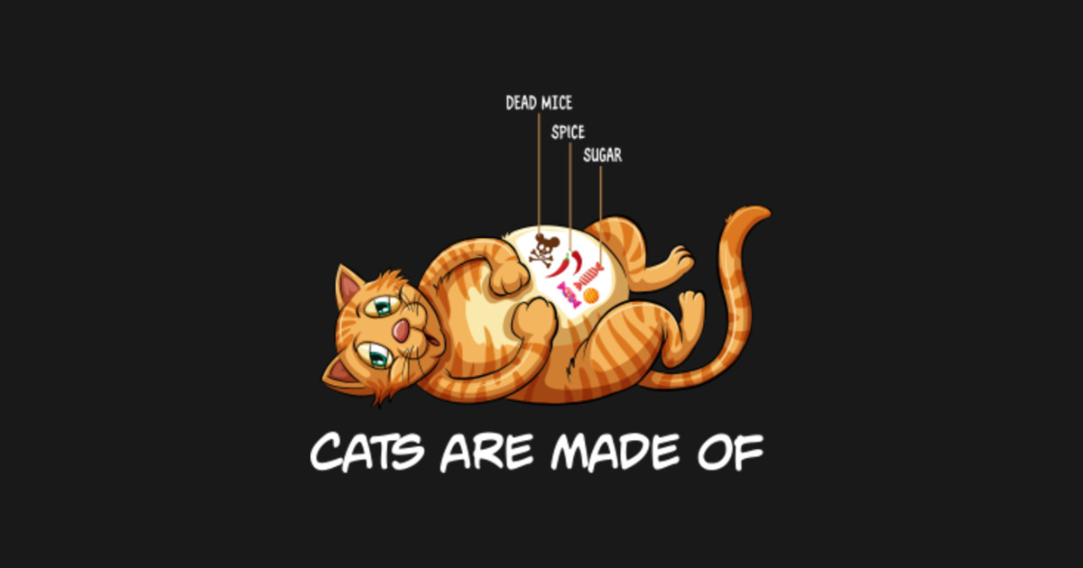 Cat Anatomy Scientifically Accurate - Cat Anatomy - Hoodie ...