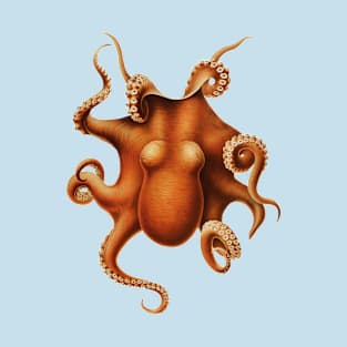 Octopus | Blue T-Shirt