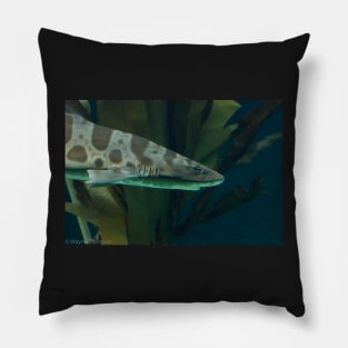 Leopard Shark Pillow